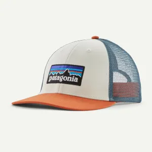 Accessories_Patagonia_Accessories P-6 Logo LoPro Trucker Hat