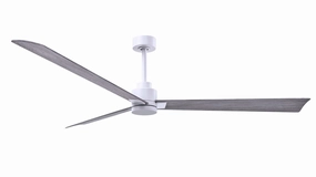 Alessandra 72"Ceiling Fan Matte White compact medium fans for desks and counters