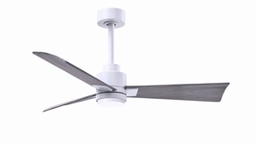 Alessandra - LK 42"Ceiling Fan Matte White best small fans for home and travel