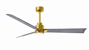 Alessandra - LK 56"Ceiling Fan Brushed Brass affordable medium fans for summer