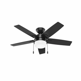 Anisten 44"Ceiling Fan Matte Black best small fans for home and travel