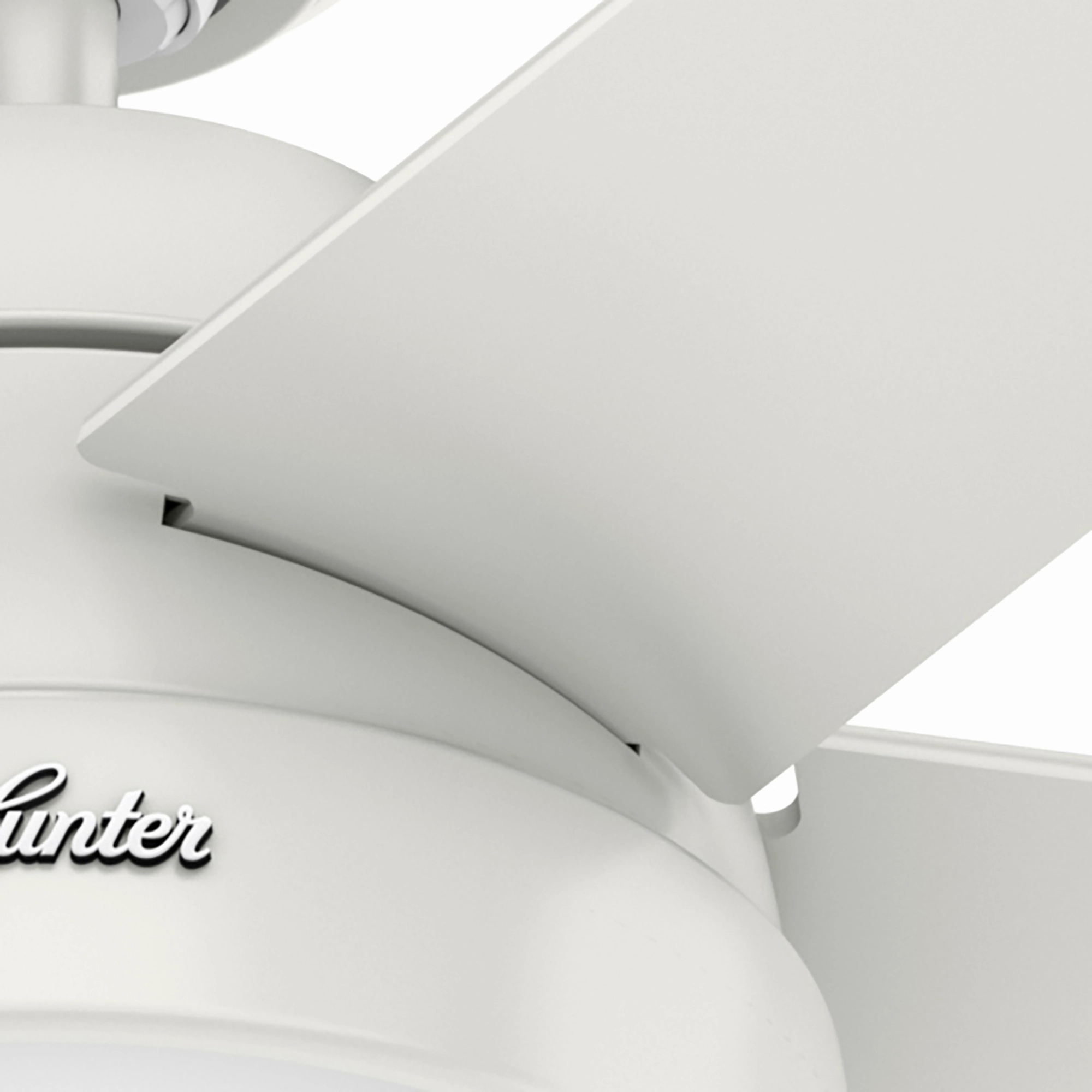 Anslee 52"Ceiling Fan Fresh White