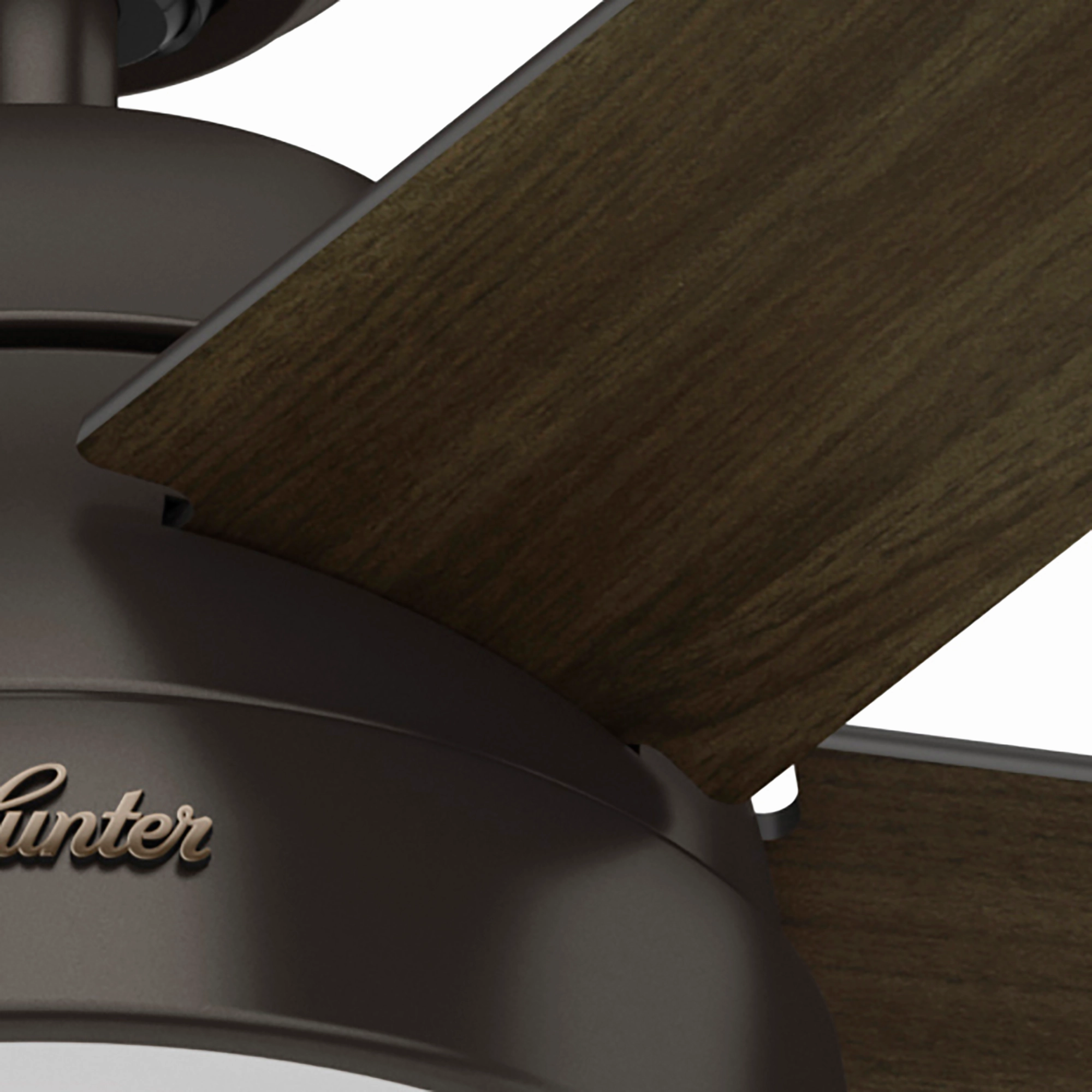 Anslee 52"Ceiling Fan Premier Bronze