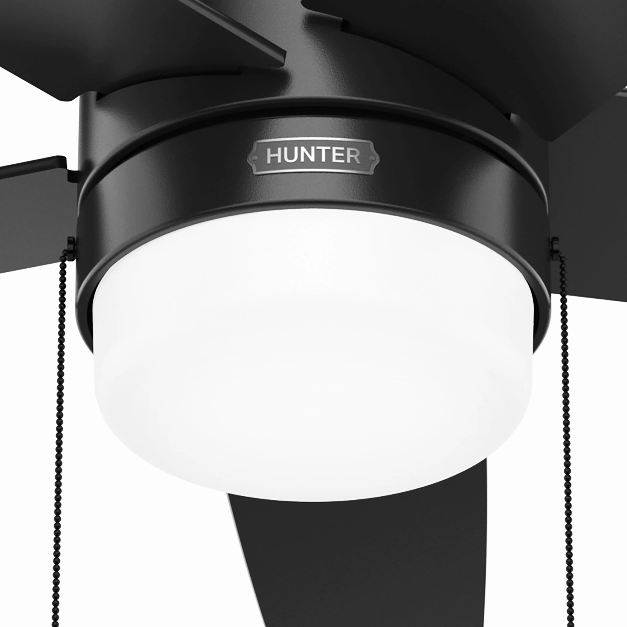 Bardot 44"Ceiling Fan Matte Black