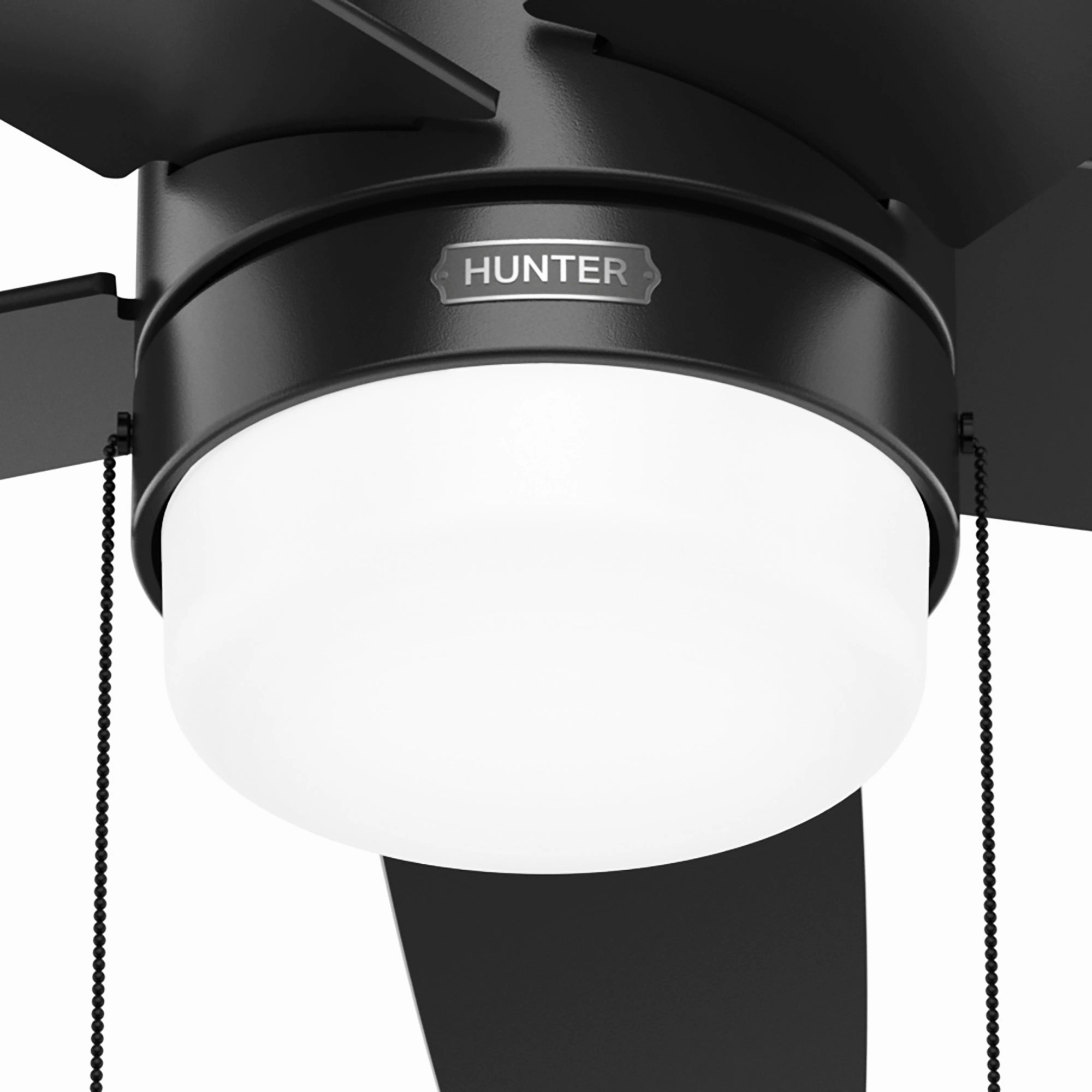 Bardot 52"Ceiling Fan Matte Black