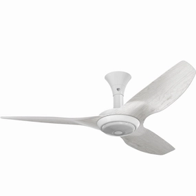 Big Ass Fans 52" Haiku Ceiling Fan whisper-quiet fans for indoor comfort