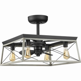 Briarwood 22"Ceiling Fan Graphite decorative fandeliers with lights