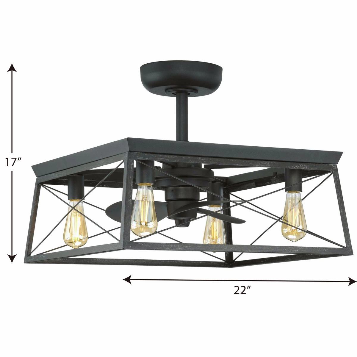 Briarwood 22"Ceiling Fan Matte Black