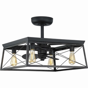 Briarwood 22"Ceiling Fan Matte Black decorative fandeliers with lights