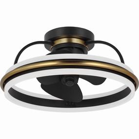 Burnett Ceiling Fan Matte Black decorative fandeliers with lights