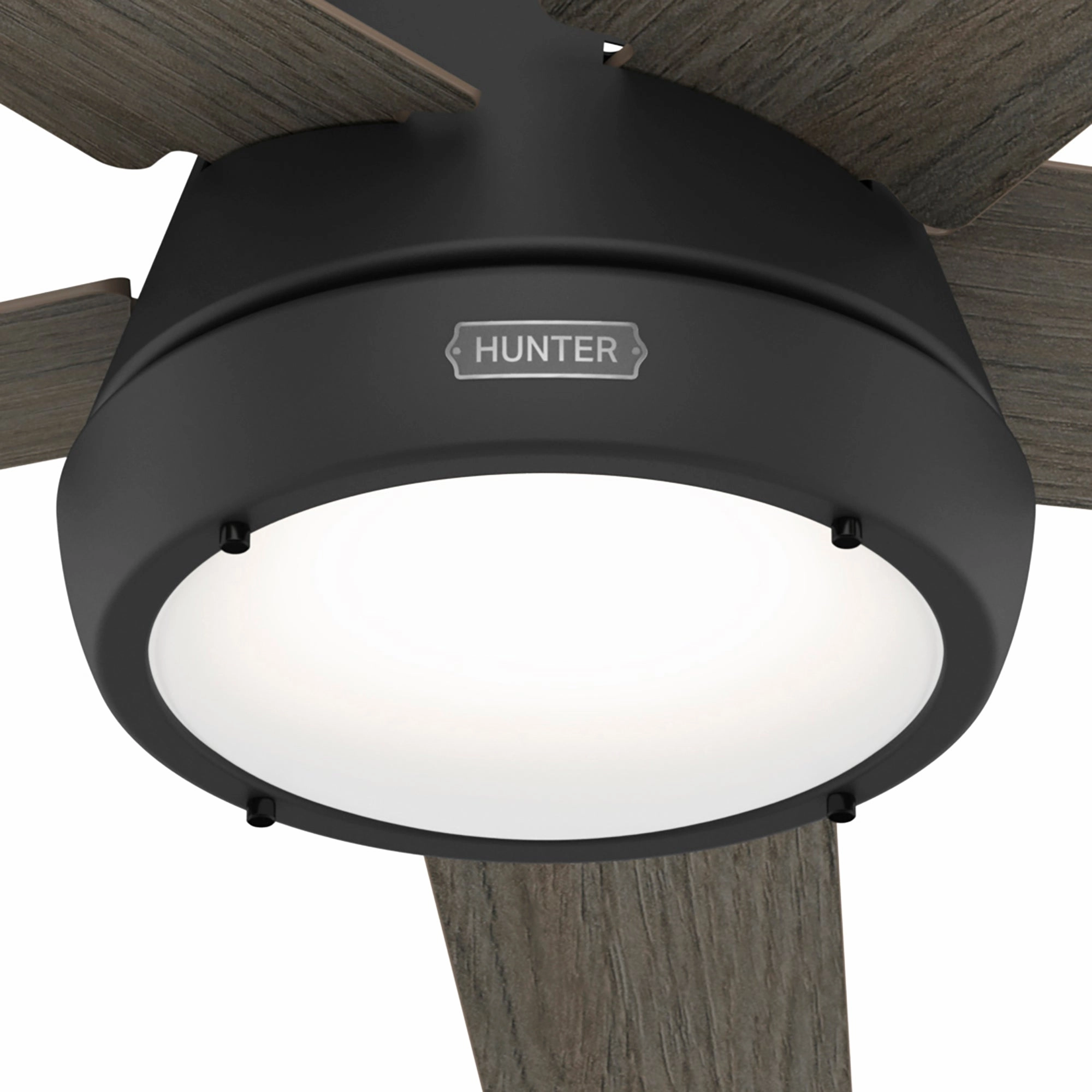 Burroughs 52"Ceiling Fan Matte Black