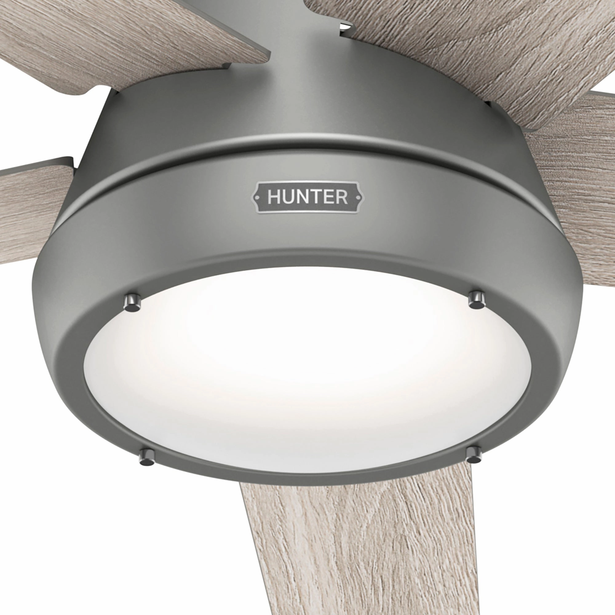 Burroughs 52"Ceiling Fan Matte Silver