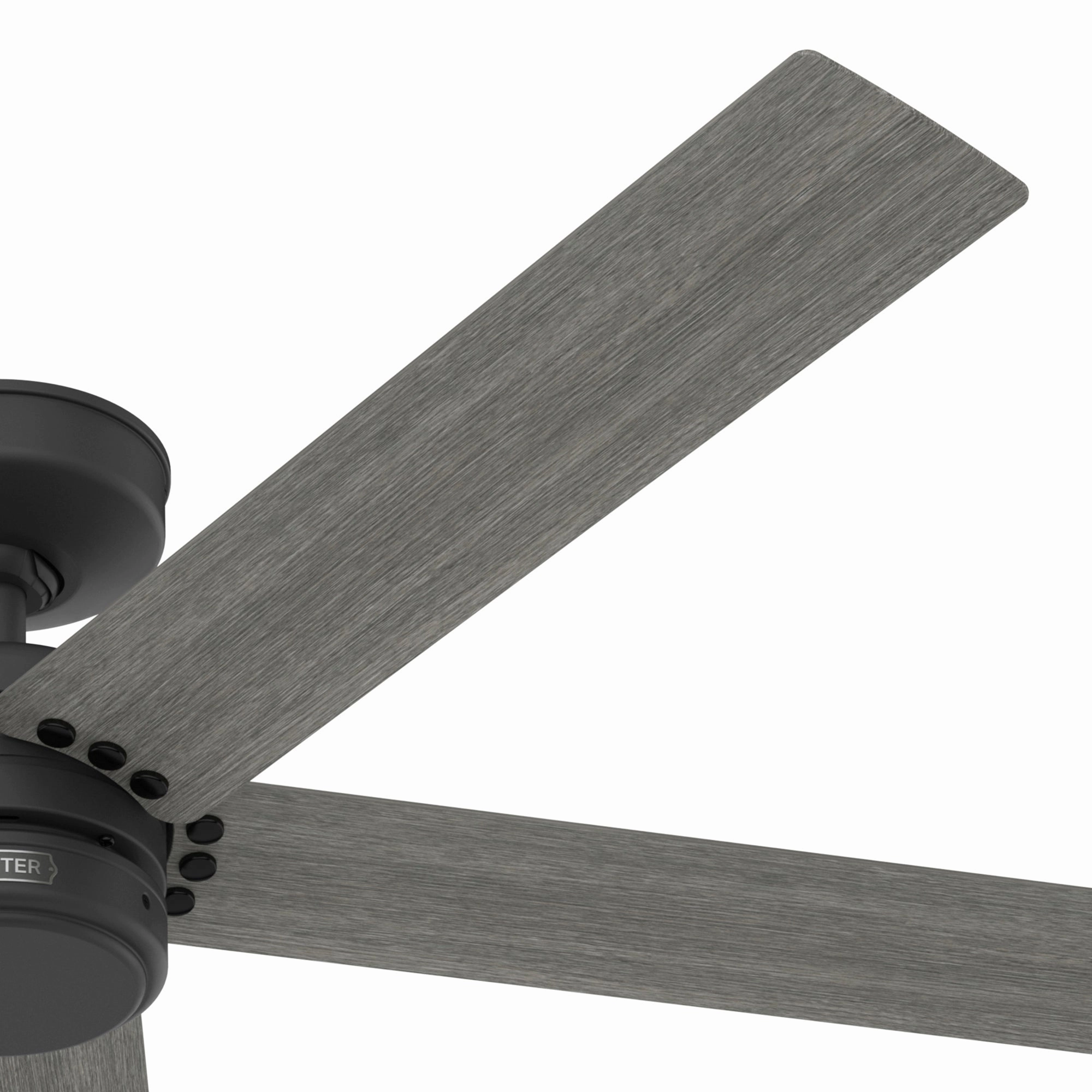 Burton 52"Ceiling Fan Matte Black