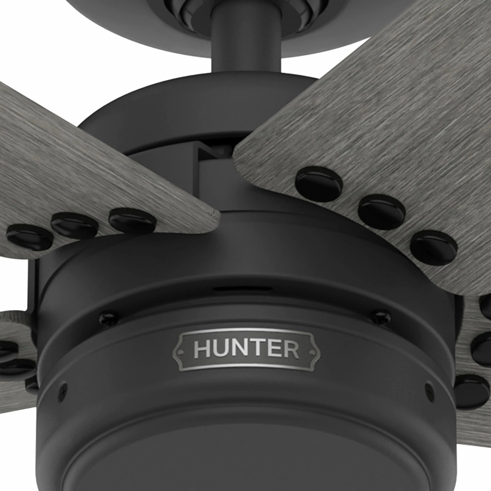 Burton 52"Ceiling Fan Matte Black