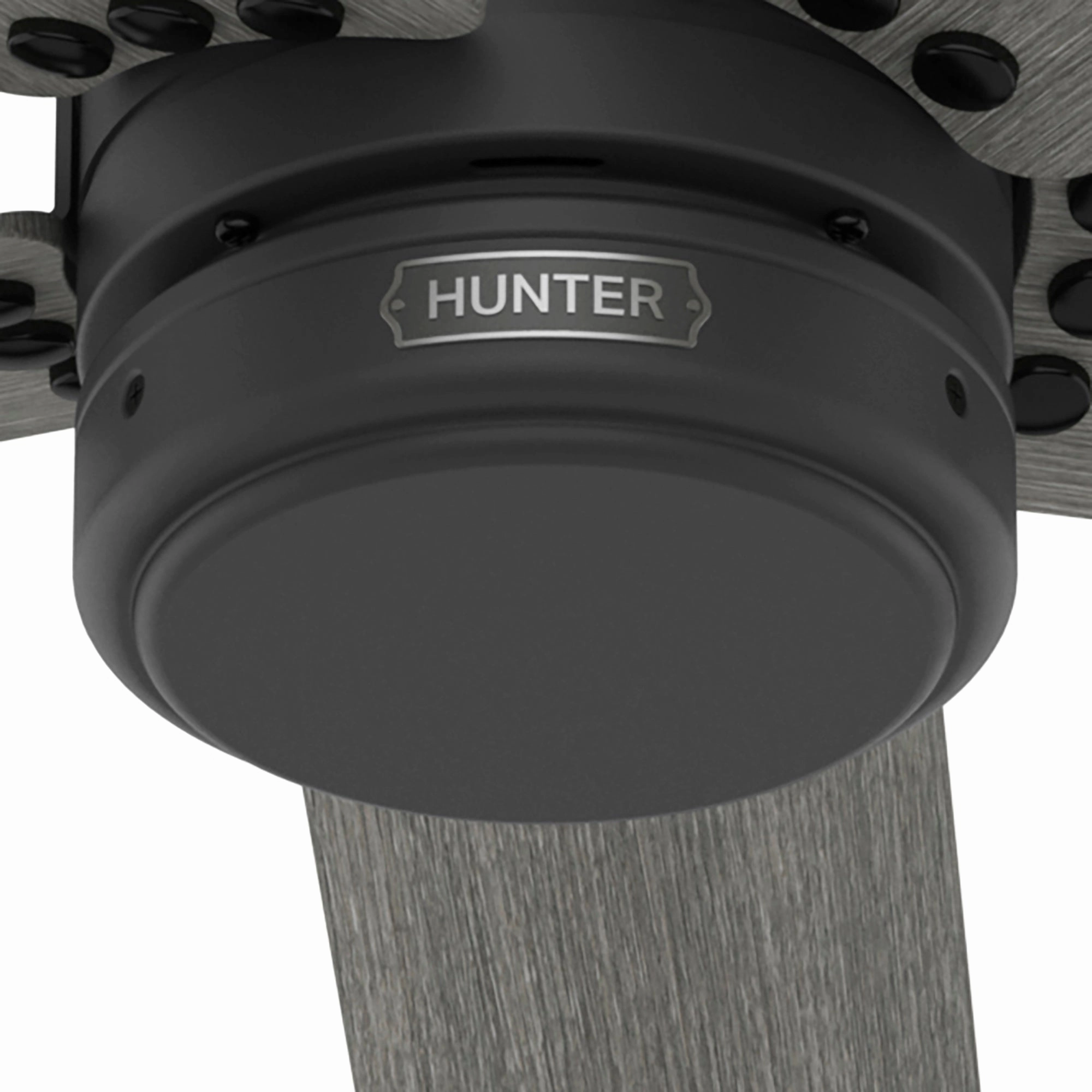 Burton 52"Ceiling Fan Matte Black