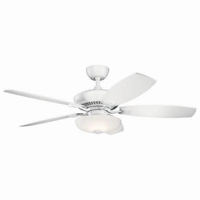 Canfield Pro Ceiling Fan quiet ceiling fans with remote control