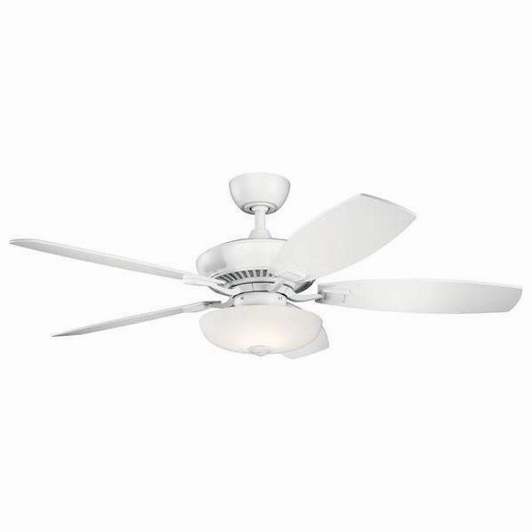Canfield Pro Ceiling Fan quiet ceiling fans with remote control