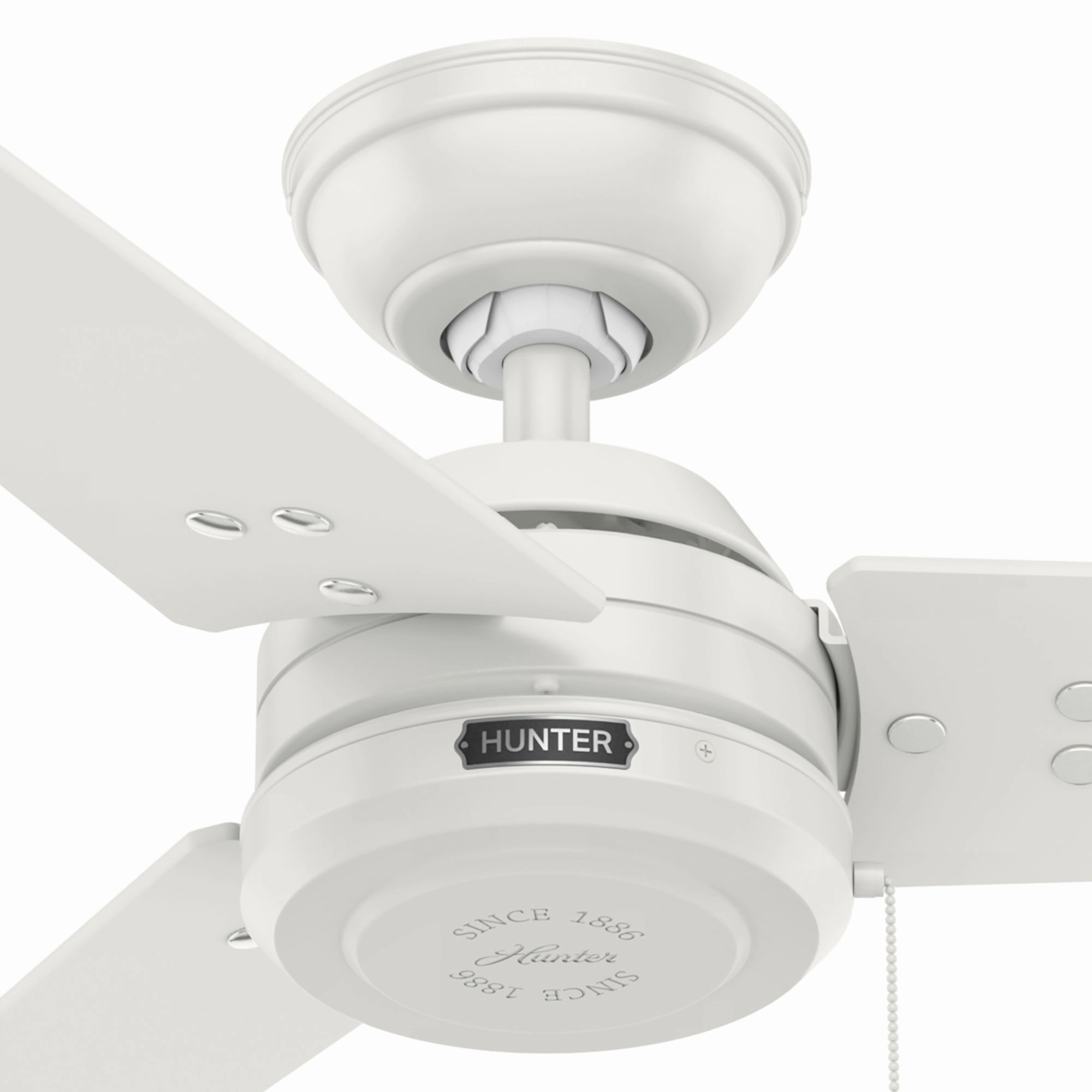 Cassius 52"Ceiling Fan Fresh White