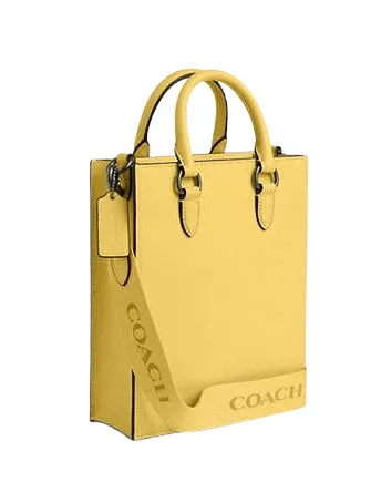 Coach Dylan Tote Coach Bags