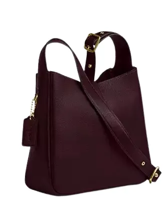 Coach Hadley Convertible Crossbody Bag Coach Bags