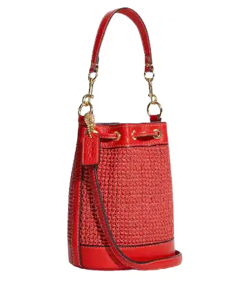 Coach Mini Dempsey Bucket Bag With Coach Patch Coach Bags