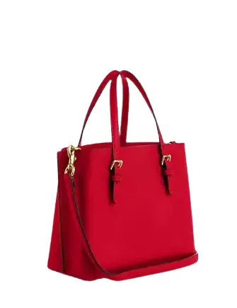 Coach Mollie Tote 25 Coach Bags