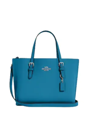 Coach Mollie Tote 25 Coach Bags
