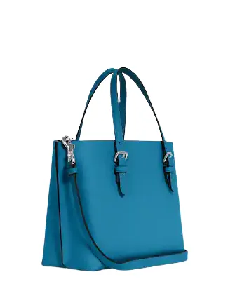 Coach Mollie Tote 25 Coach Bags