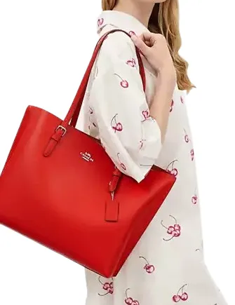 Coach Mollie Tote Coach Bags