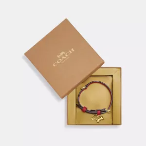 Coach Outlet Boxed Small Pet Collar In Signature Canvas COACH Outlet Bags