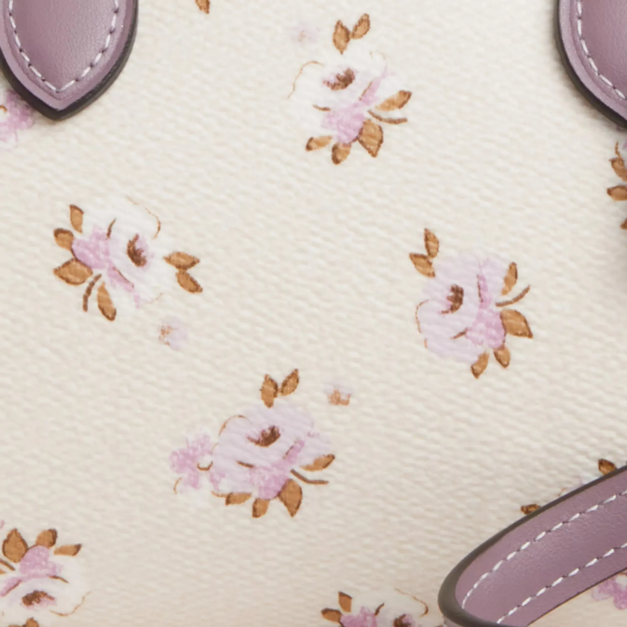 Coach Outlet Mini Rowan Crossbody Bag With Floral Print COACH Outlet Bags
