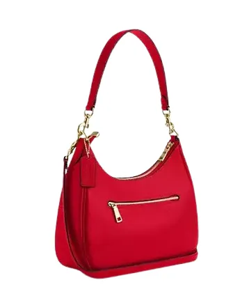 Coach Teri Hobo Bag Coach Bags