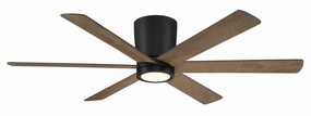 Coldwater 52"Ceiling Fan Matte Black mini handheld fan for personal travel use