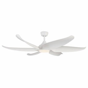 Coronado 60"Ceiling Fan Matte White quiet medium fans for living room use