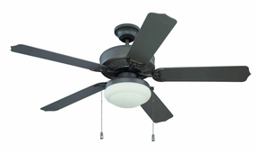Craftmade Enduro 52" Outdoor Pull Chain Ceiling Fan with 18W LED Ceiling fan with adjustable speed settings