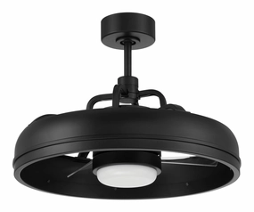 Craftmade Taylor 24" Smart Indoor/Outdoor DC Fandelier Ceiling Fan with Remote Ceiling fan with adjustable speed settings