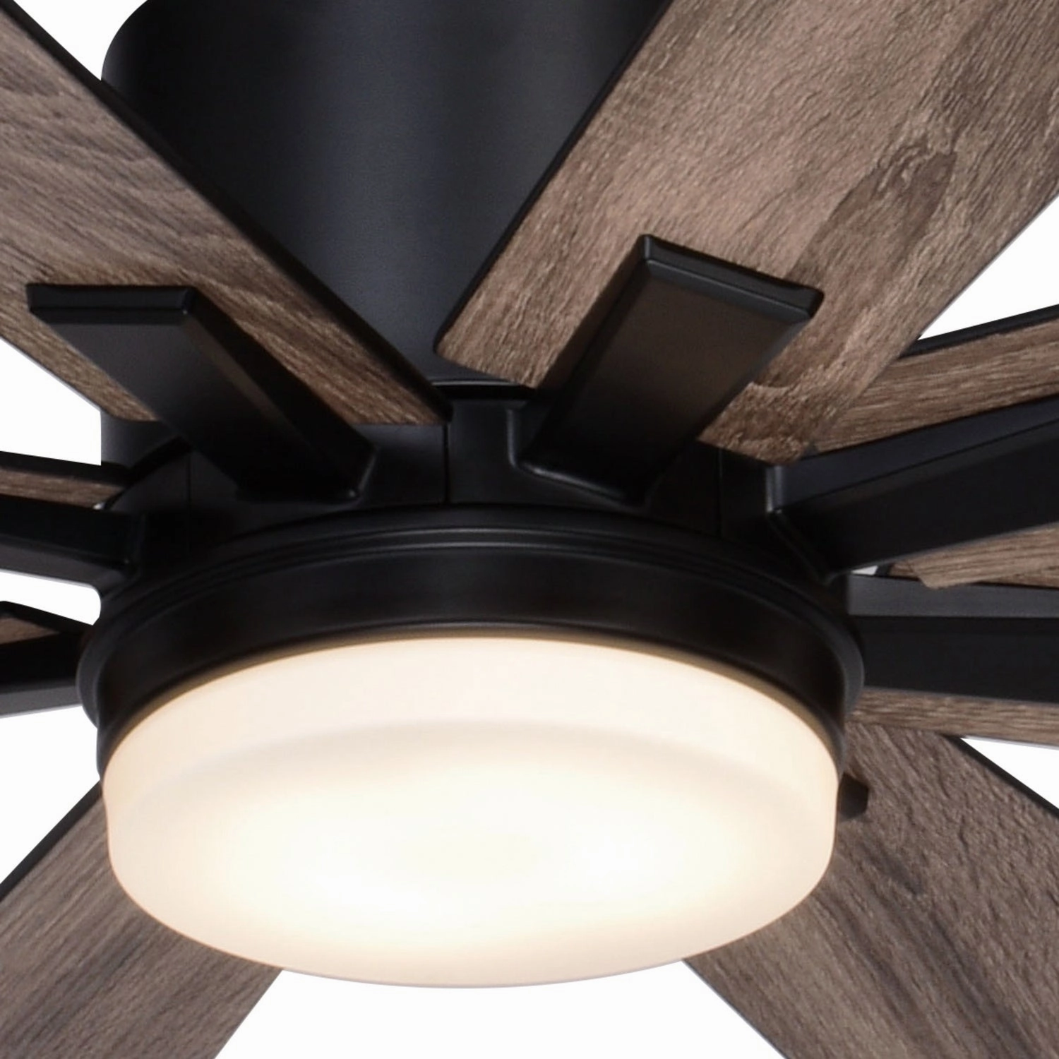 Crawford 60"Ceiling Fan Black