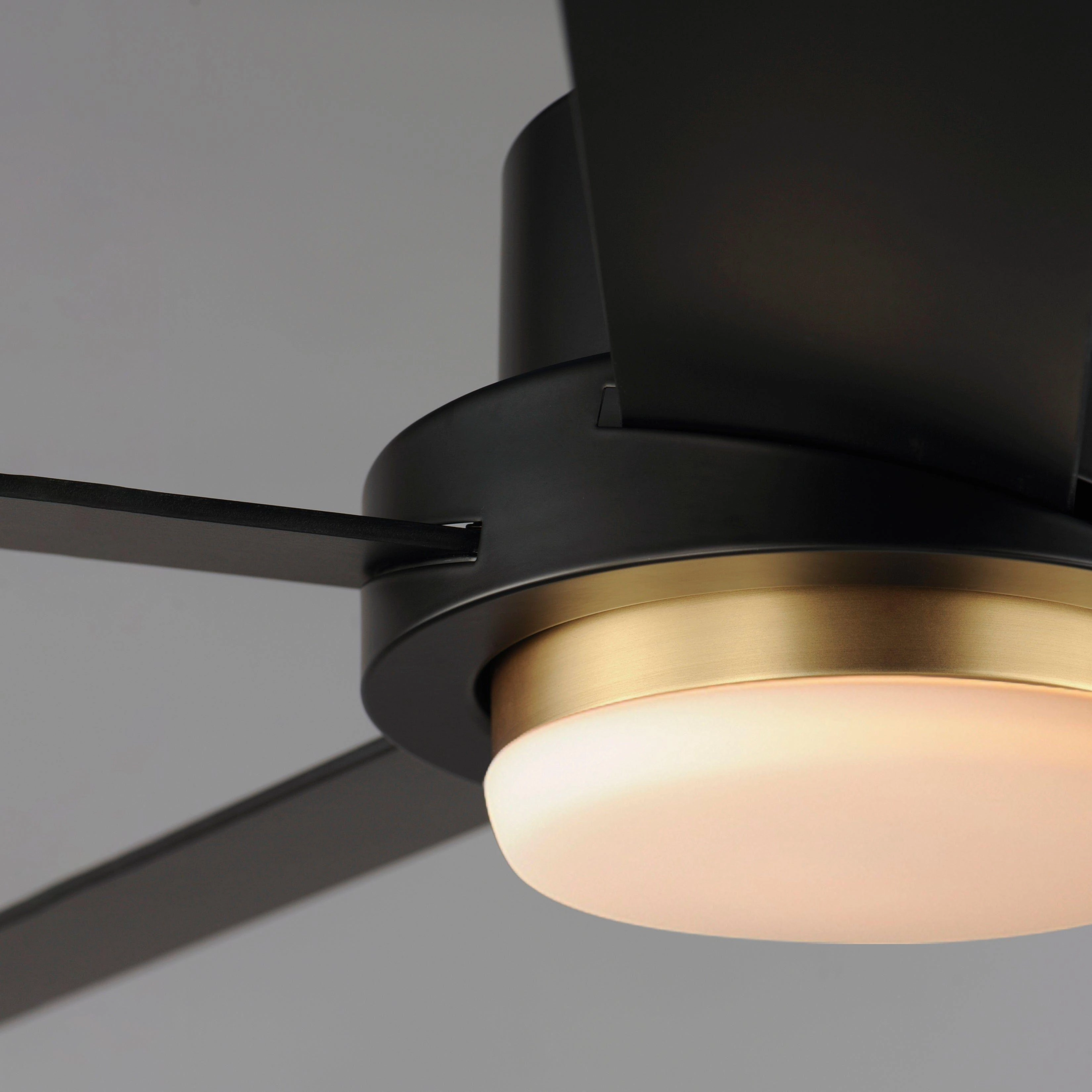 Daisy 60" 5-Blade Fan with LED Light Kit