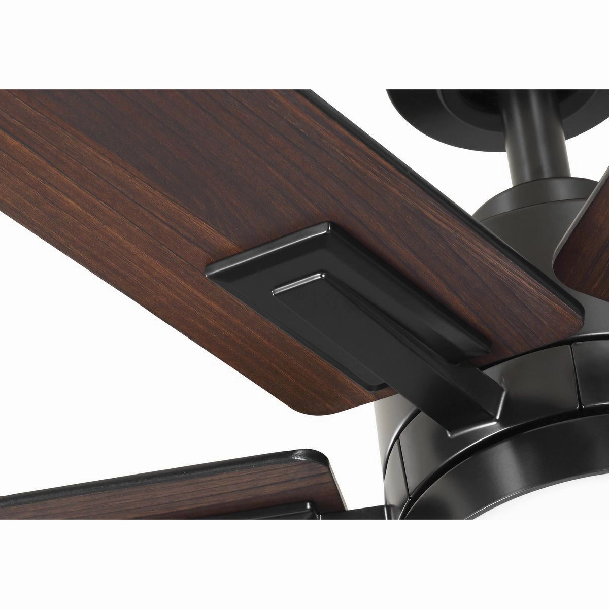 Dallam 60"Ceiling Fan Matte Black