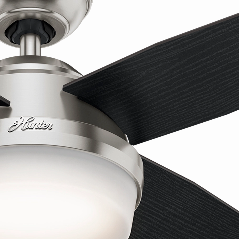Dempsey 44"Ceiling Fan Brushed Nickel