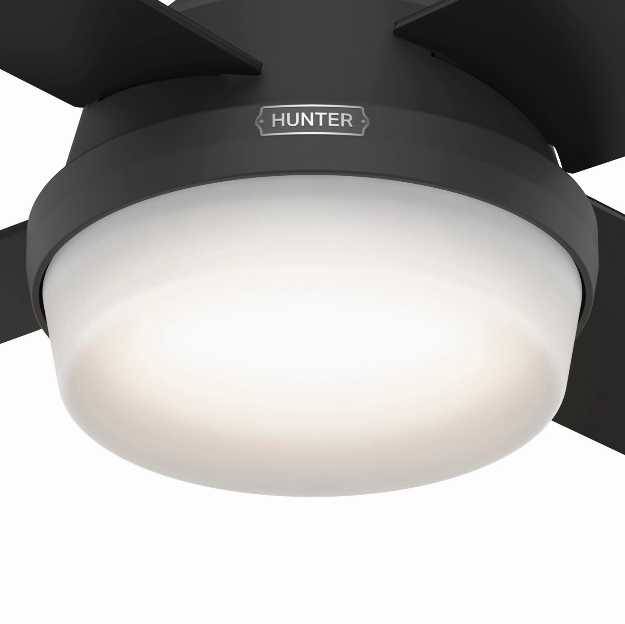 Dempsey 44"Ceiling Fan Matte Black
