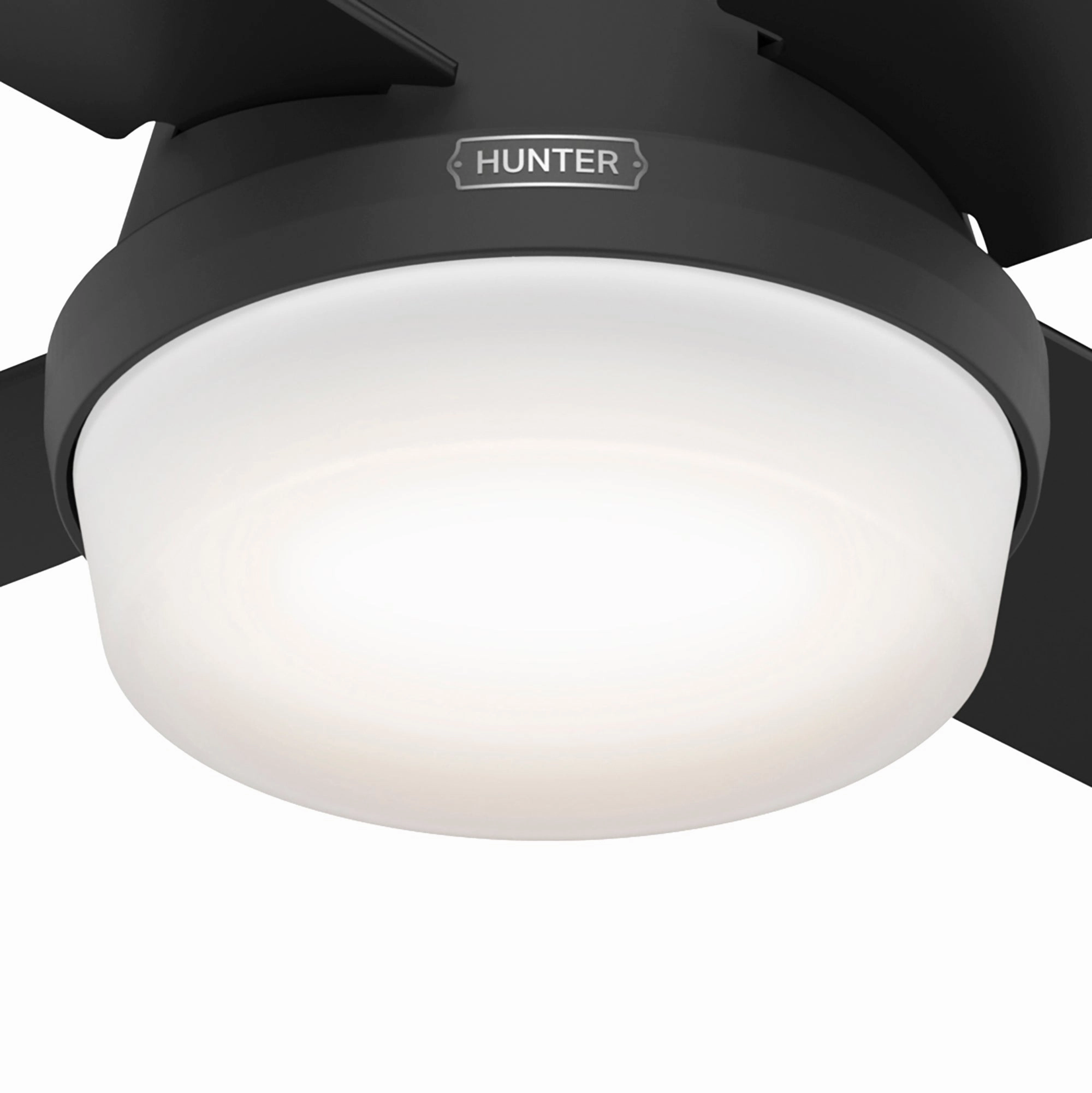 Dempsey 44"Ceiling Fan Matte Black