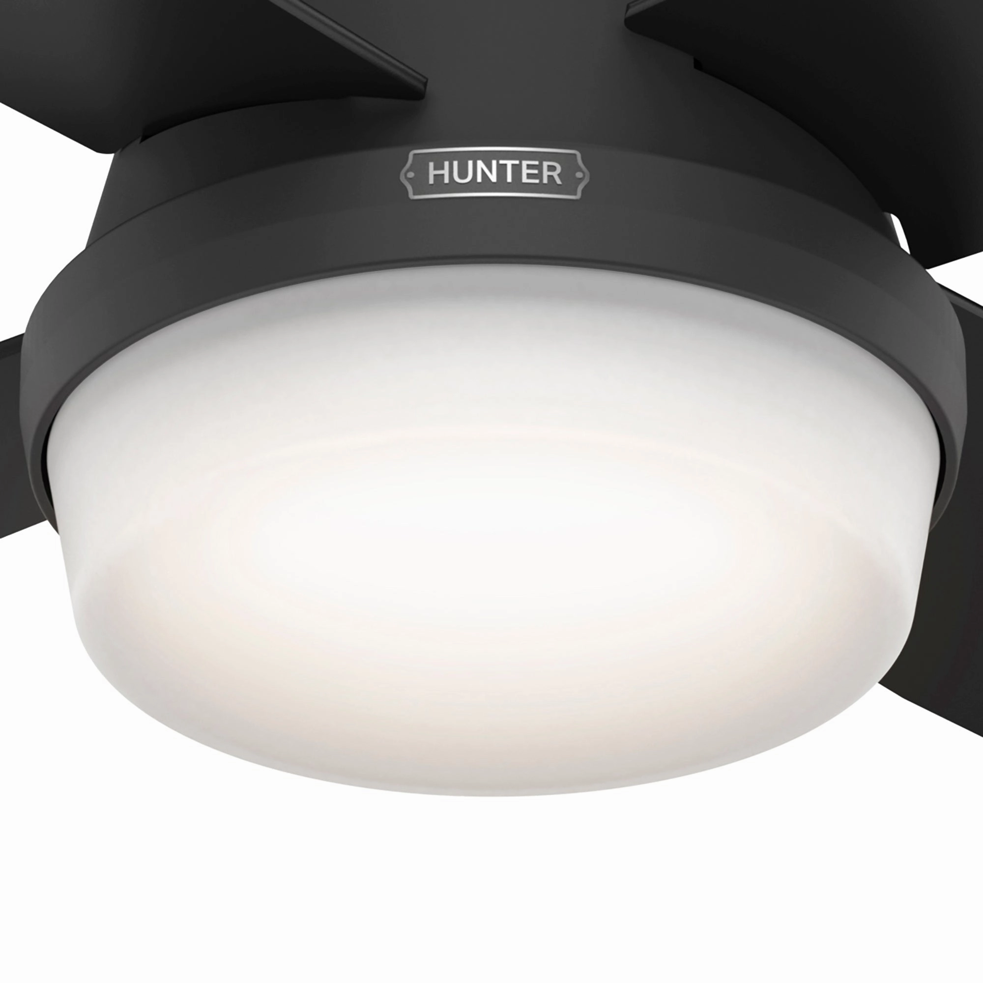 Dempsey 52"Ceiling Fan Matte Black