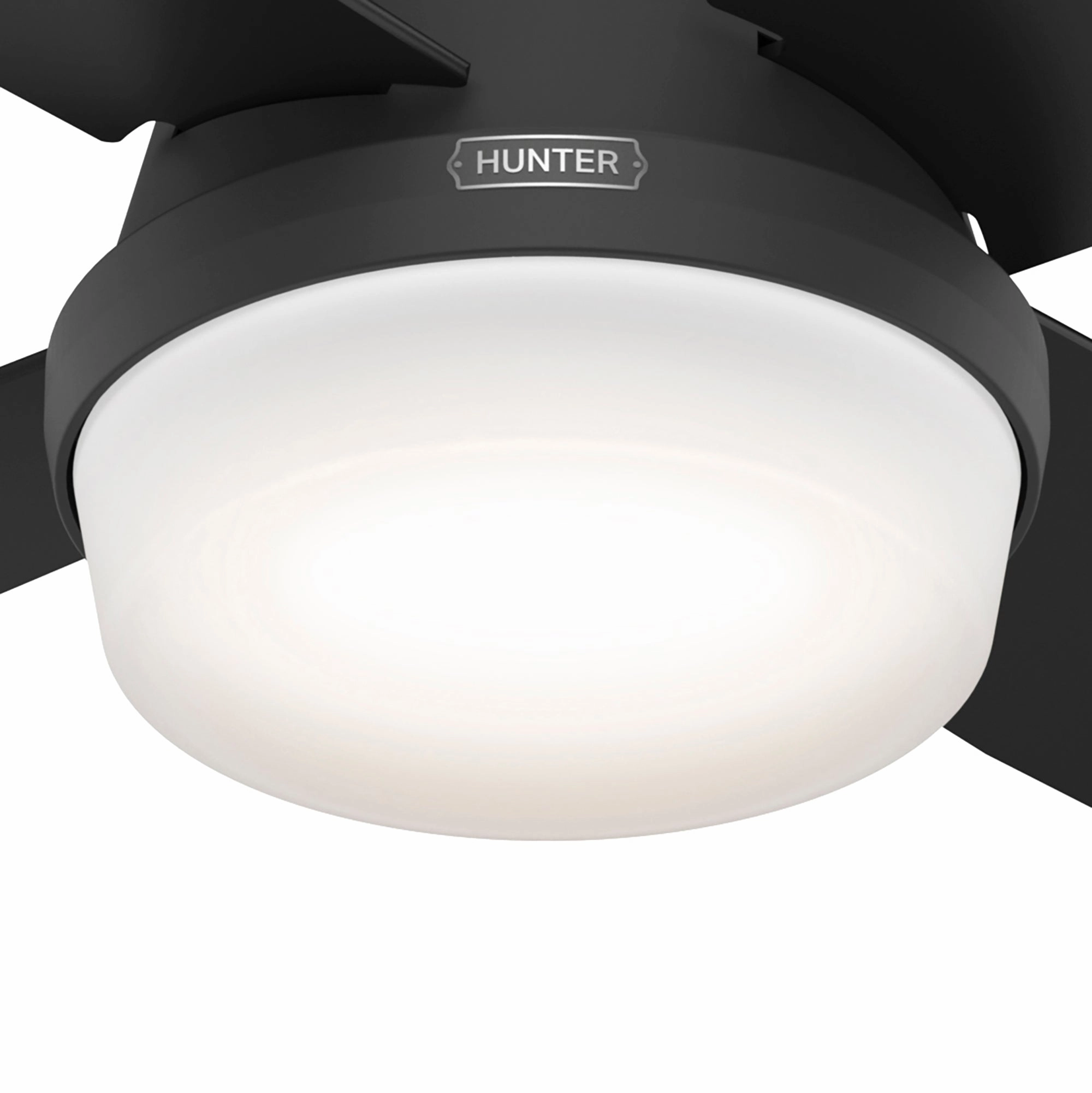 Dempsey 52"Ceiling Fan Matte Black