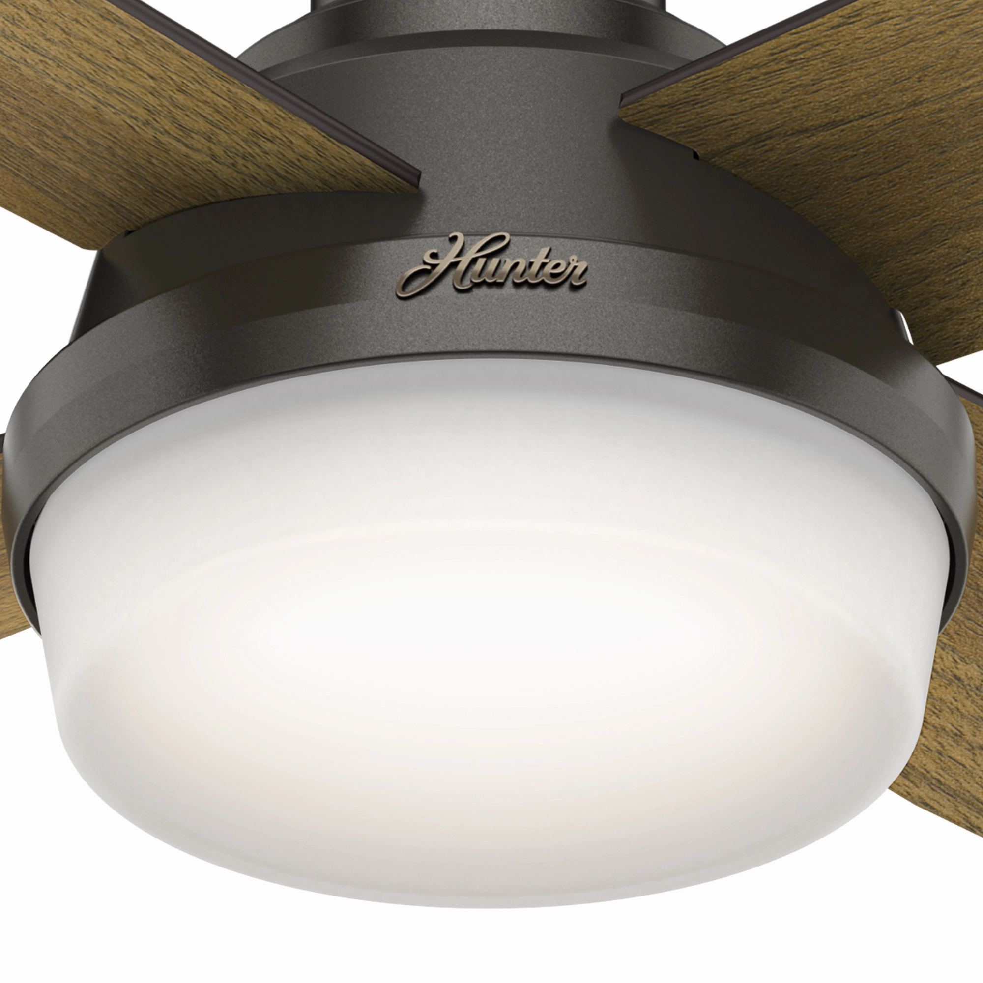 Dempsey 52"Ceiling Fan Noble Bronze