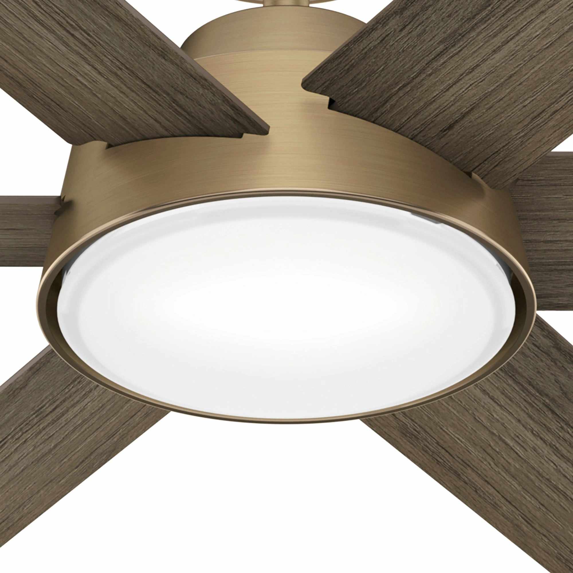 Donatella 52"Ceiling Fan Luxe Gold