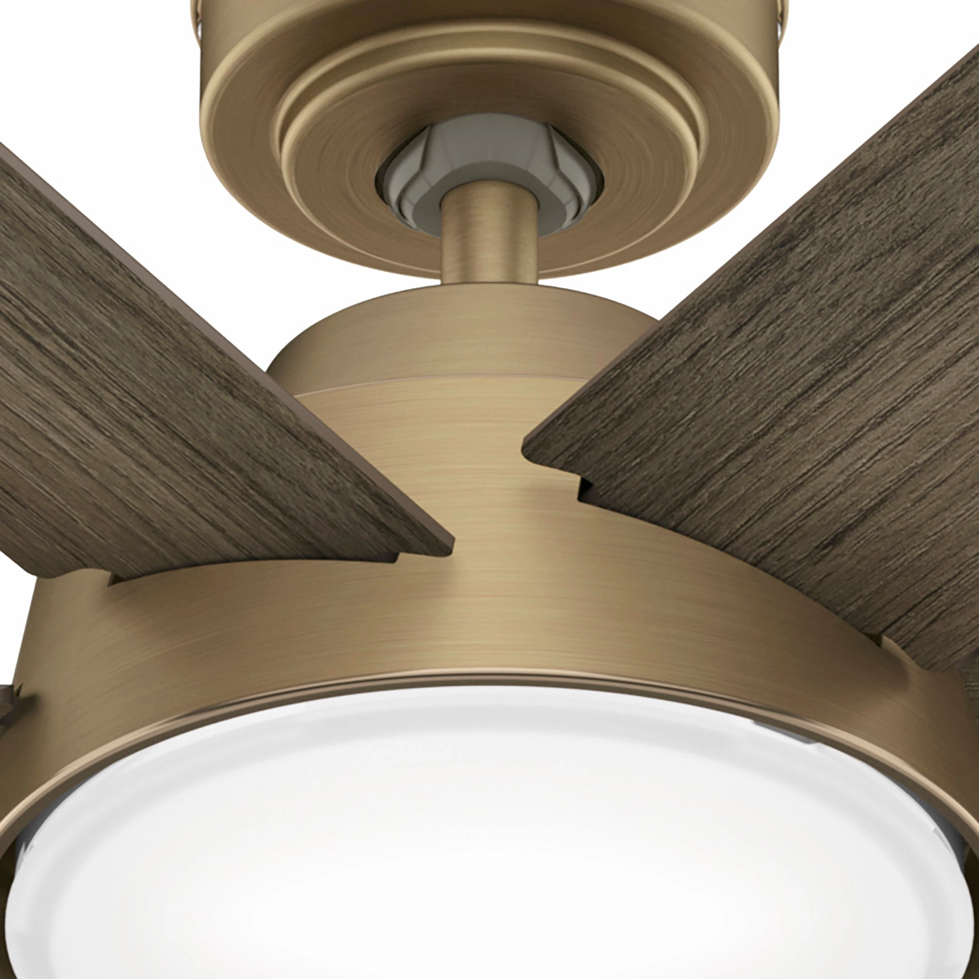Donatella 52"Ceiling Fan Luxe Gold
