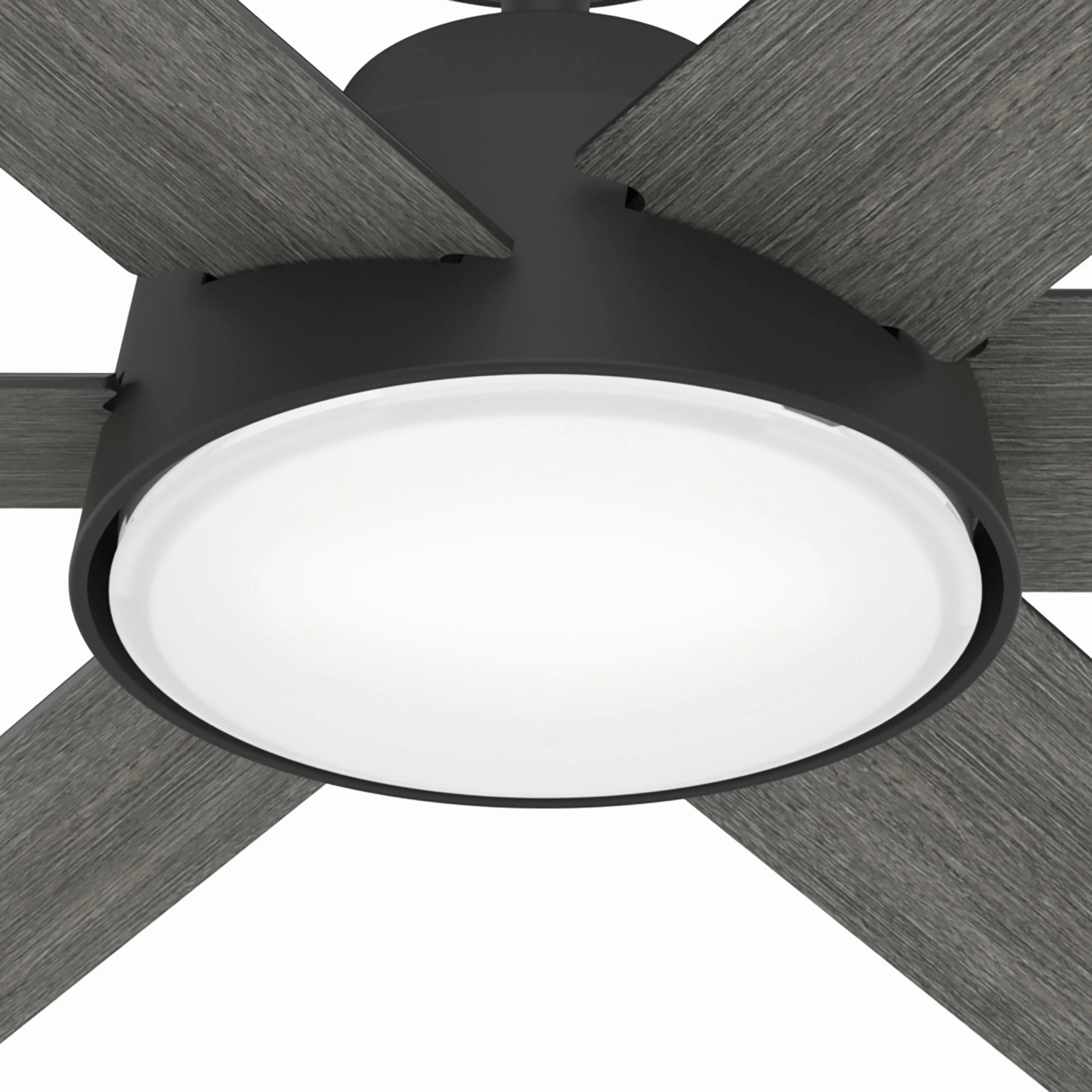 Donatella 52"Ceiling Fan Matte Black