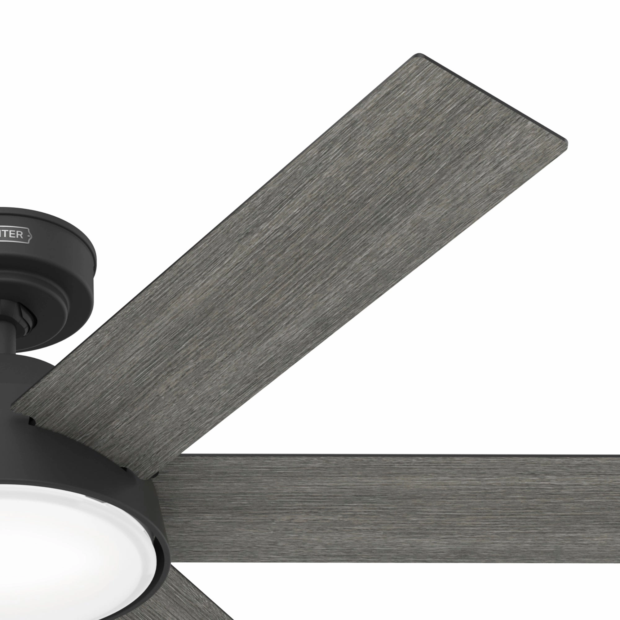 Donatella 52"Ceiling Fan Matte Black