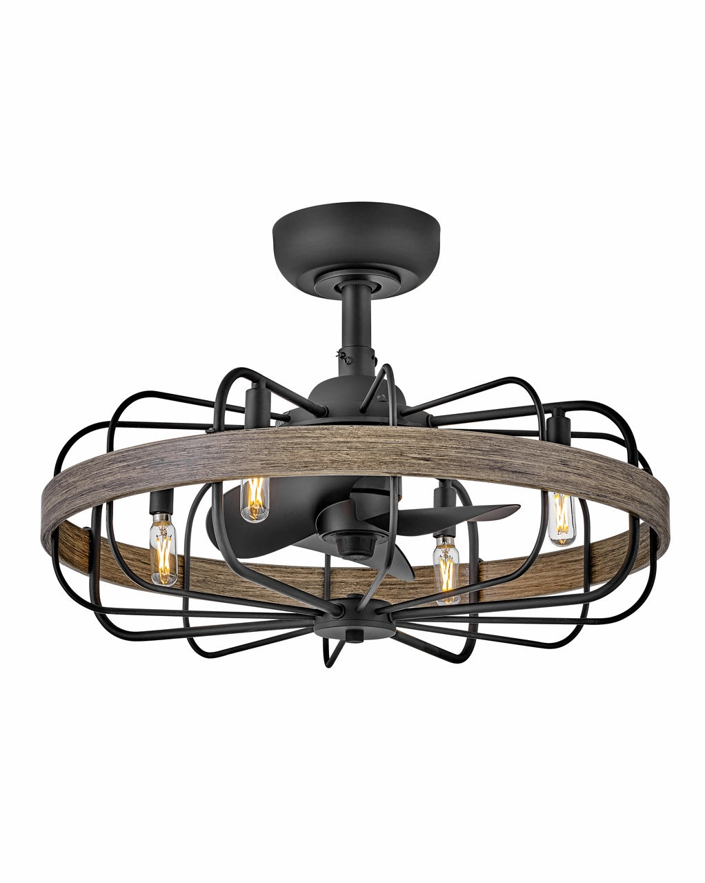 Eli 22" LED Fandelier Matte Black decorative fandeliers with lights